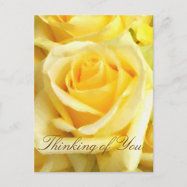 Yellow Rose_ Postcard (Front)