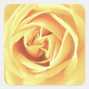 Yellow rose print square sticker