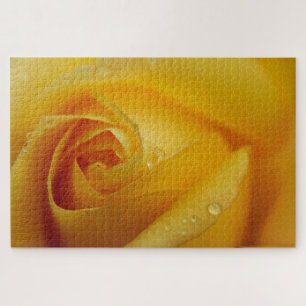 Yellow Rose  Puzzle