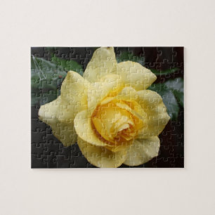 Yellow Rose Puzzle
