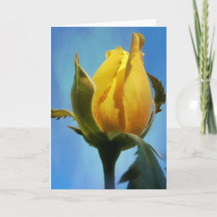 Yellow Rose Scripture Card Lamentations 3:22-23