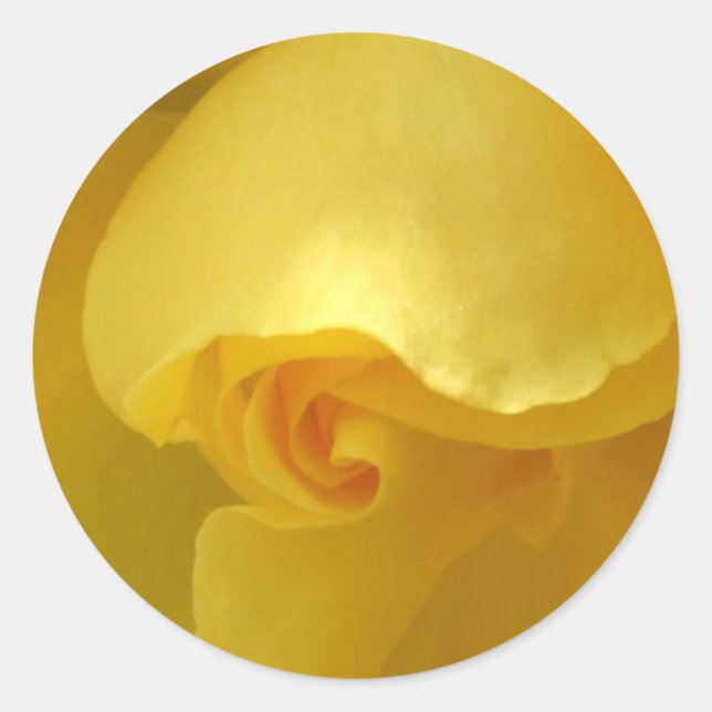 Yellow Rose Sticker (Front)