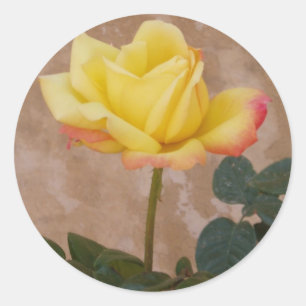 Yellow Rose Stickers