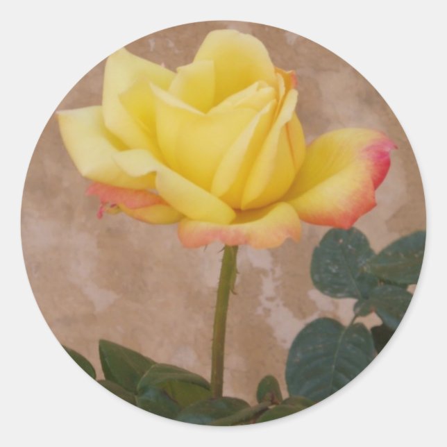Yellow Rose Stickers (Front)