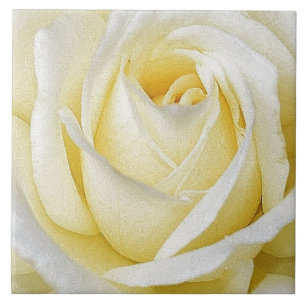 Yellow Rose Tile