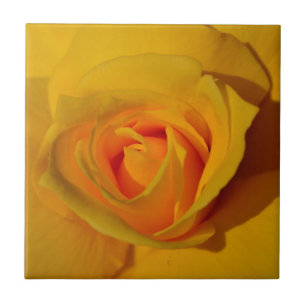 Yellow Rose Tile