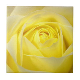 Yellow Rose Tile
