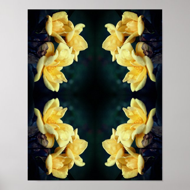 Yellow Rose Trio Abstract   Poster (Front)