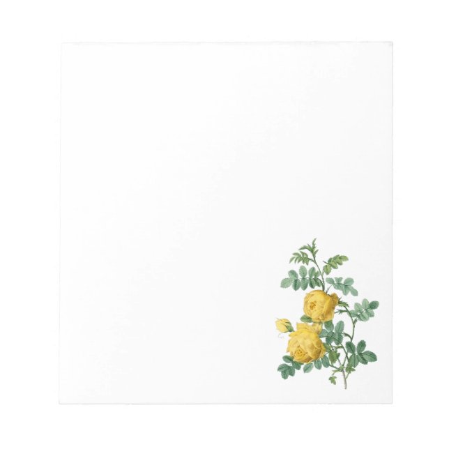 Yellow Rose vintage botanical illustration Notepad (Front)