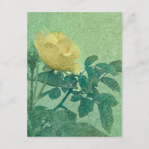 Yellow Rose Vintage Style Photo Postcard