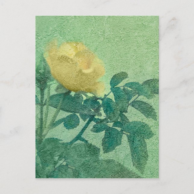 Yellow Rose Vintage Style Photo Postcard (Front)