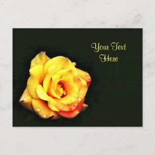 Yellow rose with rain drops postcard
