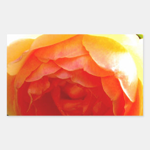 Yellow Rose yellow floral yellow flower Sticker