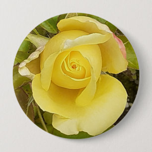 Yellow Rosebud Badge 4 Inch Round Button