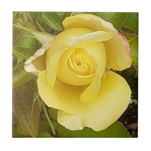 Yellow Rosebud Ceramic Tile