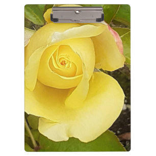 Yellow Rosebud Clipboard