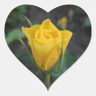 Yellow Rosebud Heart Sticker