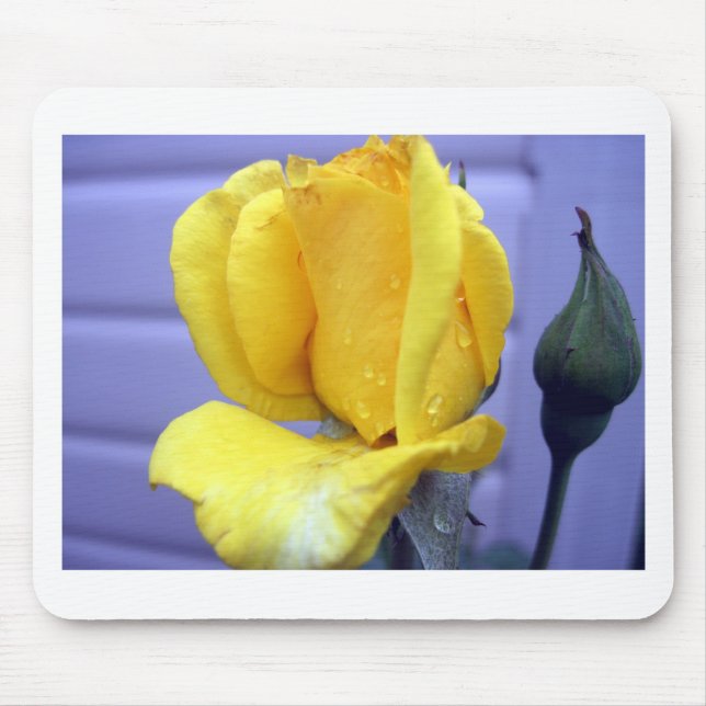 Yellow Rosebud Mouse Pad (Front)