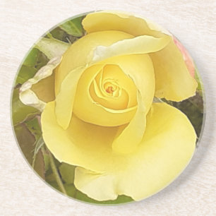 Yellow Rosebud Sandstone Coaster