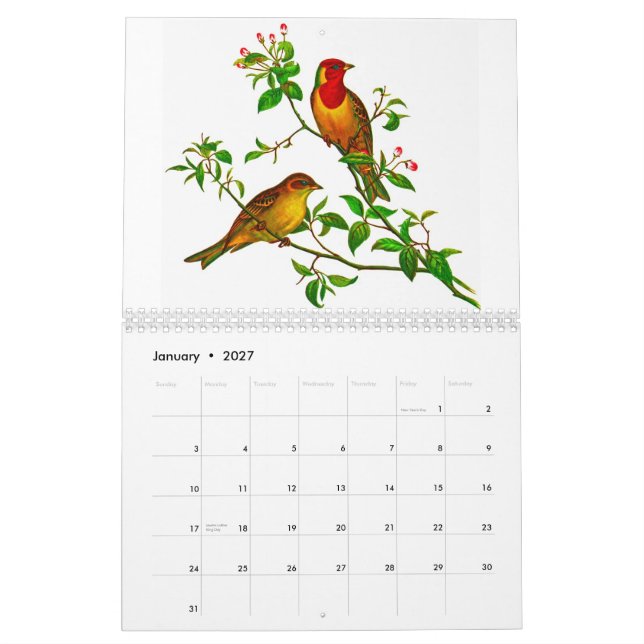 Yellow Rosella Calendar (Jan 2027)