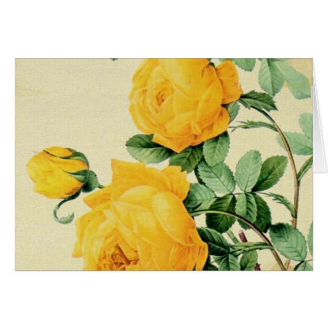 Yellow Roses (Front Horizontal)