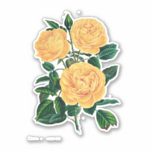 Yellow Roses