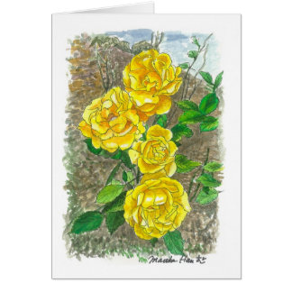 Yellow roses