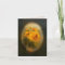 Yellow Roses (3 sizes)