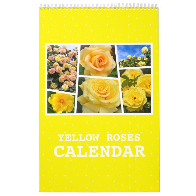 Yellow Roses Calendar (Type-B) (Cover)
