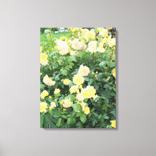 Yellow Roses Canvas Print