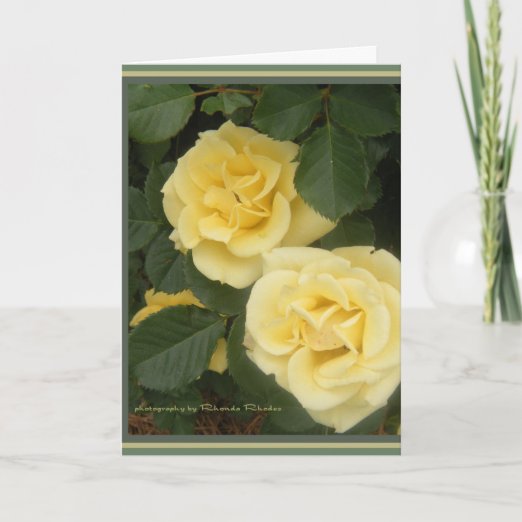 Yellow Rose Birthday Cards | Zazzle CA