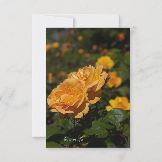 Yellow Roses  Card (Front)