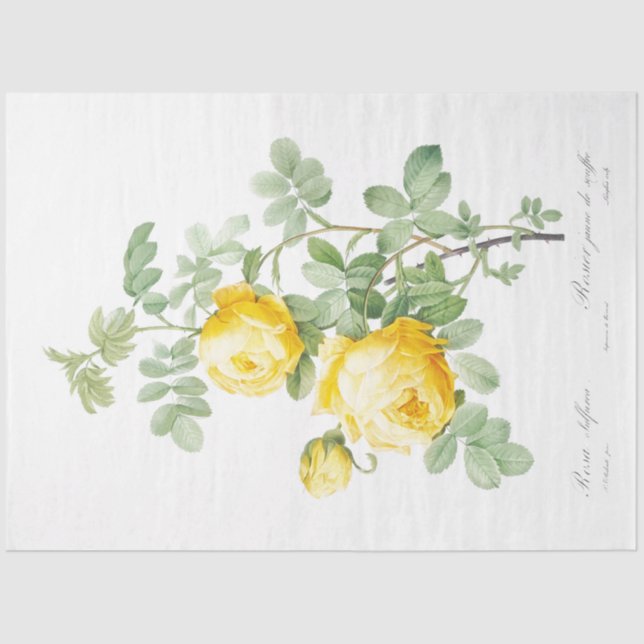 Yellow Roses Floral Ephemera Decoupage Tissue Paper (Front)