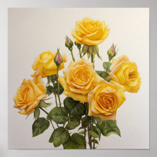 Yellow Roses Flower Art Print Poster