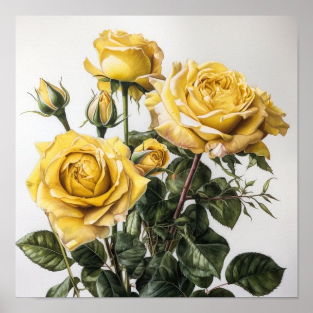 Yellow Roses Flower Art Print Poster (Front)
