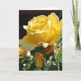 Yellow Roses Greeting Card