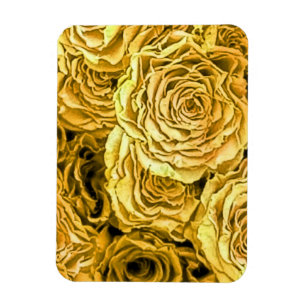 Yellow Roses Magnet