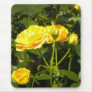 Yellow Roses Mouse Pad