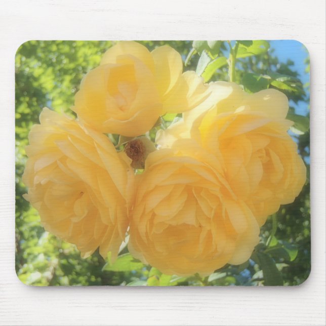 Yellow Roses Mouse Pad (Front)