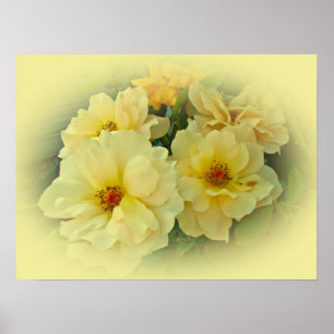 Yellow Roses Poster