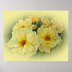 Yellow Roses Poster