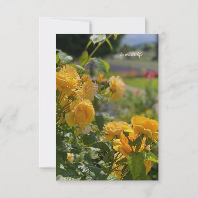 Yellow Roses, Red & Purple Garden Card (Front)