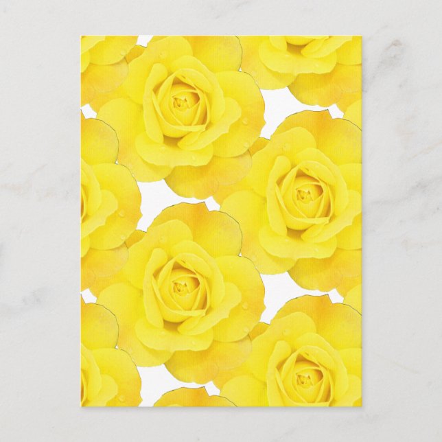 Yellow Roses White Gold Floral Flowers Patterns  Postcard (Front)