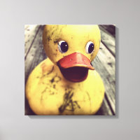 Yellow Rubber Ducky Needs a Bath!