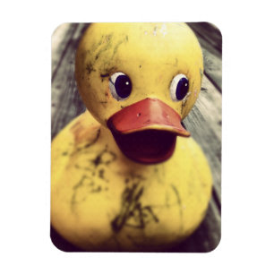 Yellow Rubber Ducky Needs a Bath! Magnet