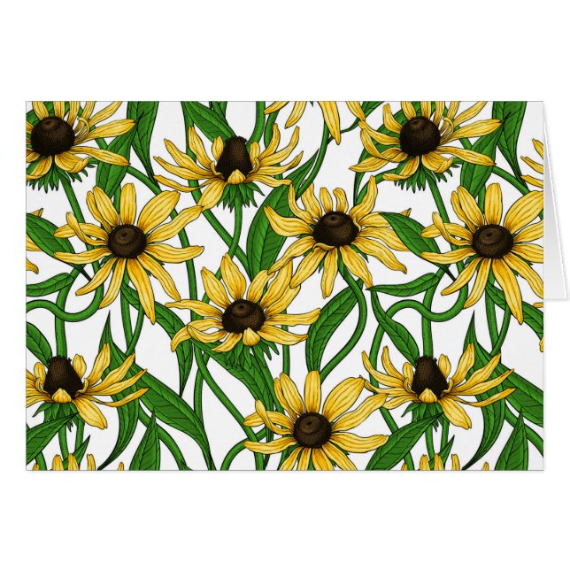 Yellow Rudbekia on white (Front Horizontal)