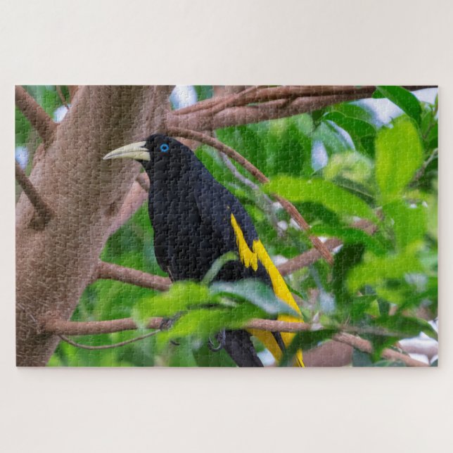 Yellow-Rumped Cacique Jigsaw Puzzle (Horizontal)