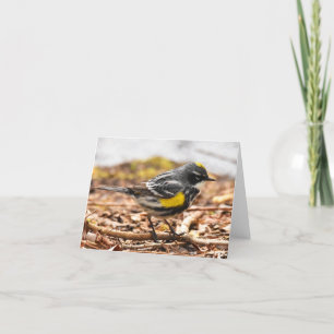 Yellow-Rumped Warbler #1 - Blank Note Card