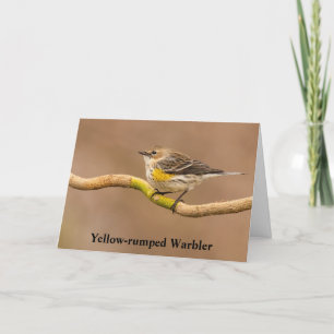 Yellow-rumped Warbler Perched Thank You Card