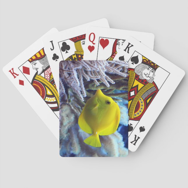 Yellow Saltwater Tang Fish Playing Cards (Back)